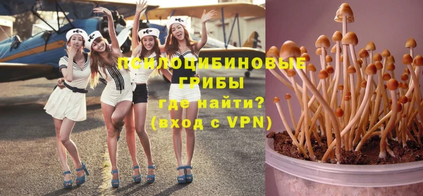 гидропоника Балахна