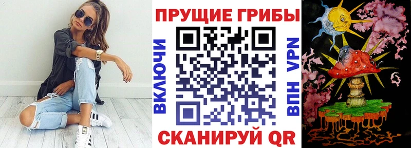 Псилоцибиновые грибы GOLDEN TEACHER  Белоярский 